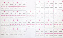 Load image into Gallery viewer, Memory Puzzles: SET A Synonyms in English and Spanish