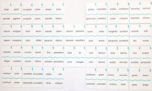 Load image into Gallery viewer, Memory Puzzles: SET B Synonyms in English and Spanish