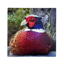 Load image into Gallery viewer, Puzzles for EveryBody™ - Pheasant by Monia Katarina Villasenor (tactile)