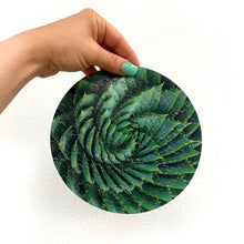 Load image into Gallery viewer, Spiral Succulent: Wood Puzzle Edition