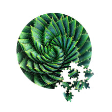Load image into Gallery viewer, Spiral Succulent: Wood Puzzle Edition