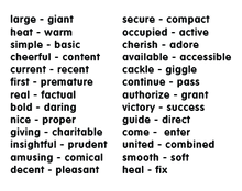 Load image into Gallery viewer, Memory Puzzles: SET B Synonyms in English and Spanish