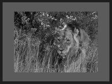 Load image into Gallery viewer, In the Weeds