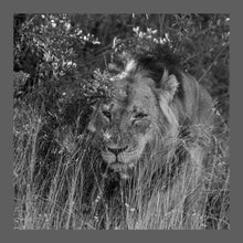 Load image into Gallery viewer, In the Weeds