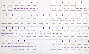 Memory Puzzles: Antonyms in English and Spanish
