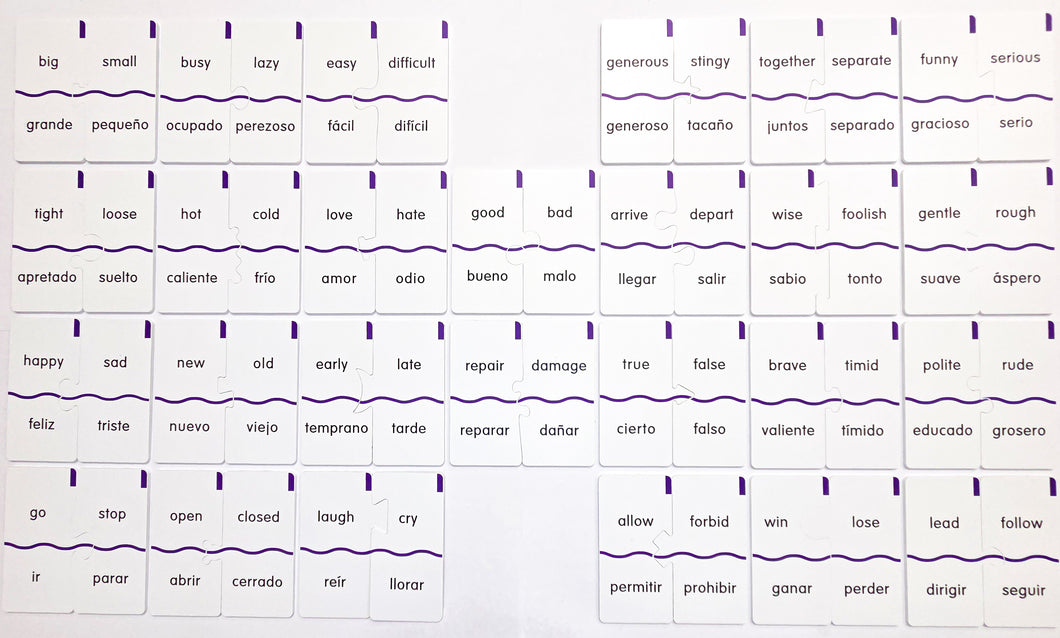 Memory Puzzles: Antonyms in English and Spanish