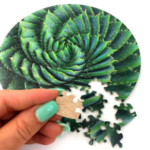 Spiral Succulent: Wood Puzzle Edition