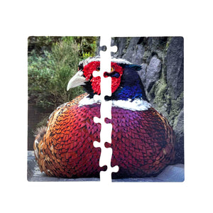 Puzzles for EveryBody™ - Pheasant by Monia Katarina Villasenor