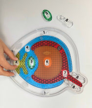 Load image into Gallery viewer, My Sight: Eye Puzzle for the Lightbox (Tactile/Braille) - designed with The American Printing House for the Blind (BUY at APH.org)
