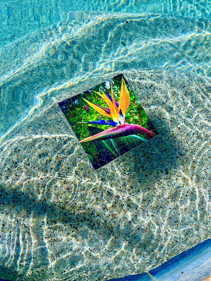 A waterproof PVC Mini Puzzle floats in a swimming pool. The artwork is a photograph of a Birds of Paradise flower.