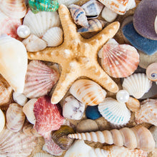 Load image into Gallery viewer, Gifts from the Sea - Mini Puzzle
