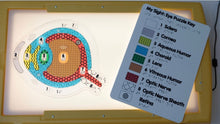 Load image into Gallery viewer, My Sight: Eye Puzzle for the Lightbox (Tactile/Braille) - designed with The American Printing House for the Blind (BUY at APH.org)
