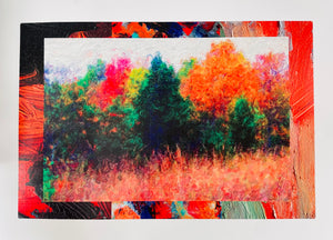 Fall Collage