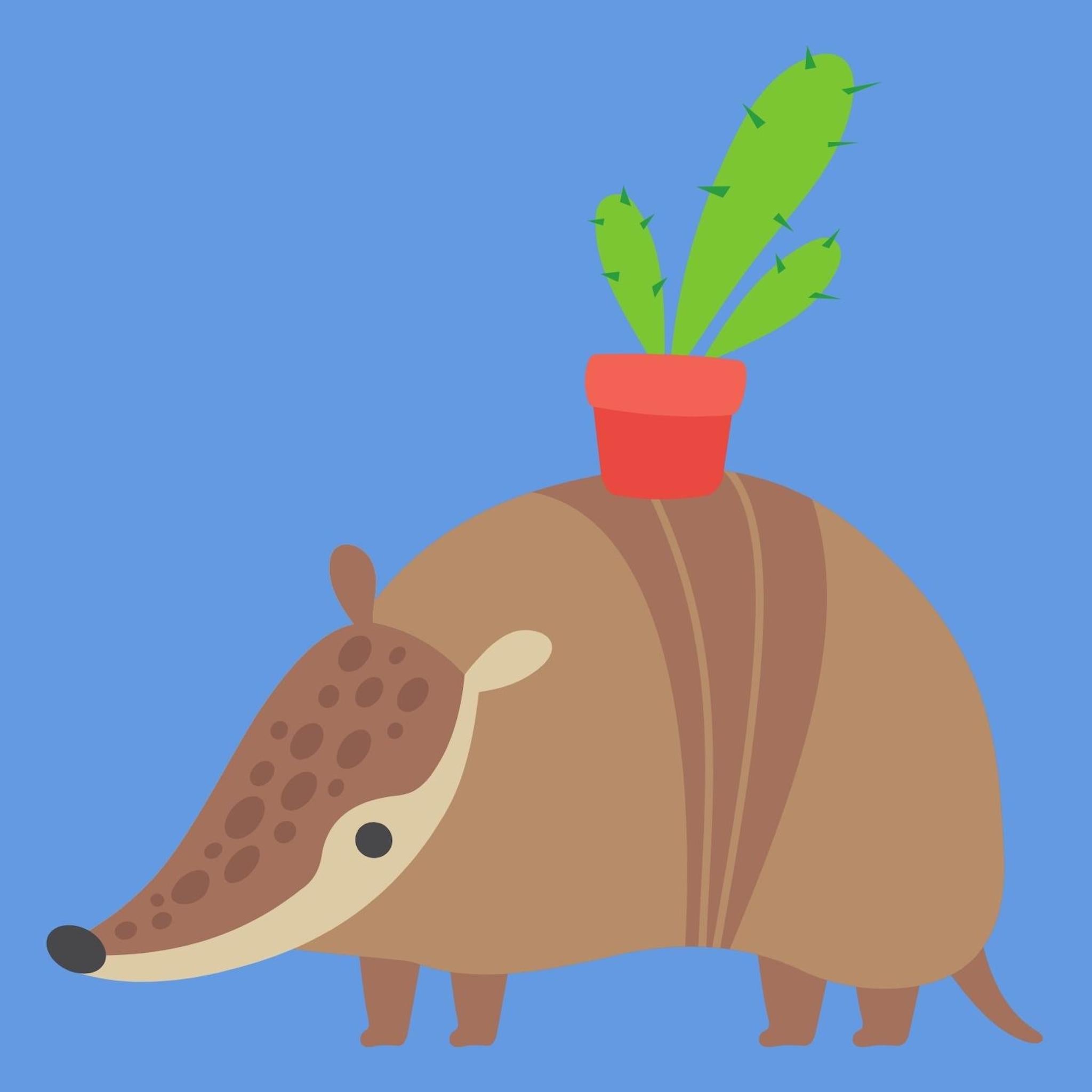 Armadillo Cactus