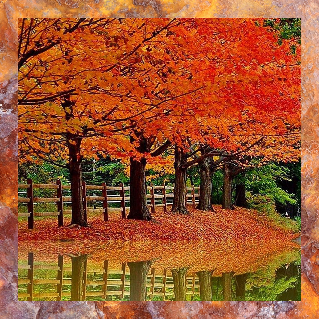 Autumn II