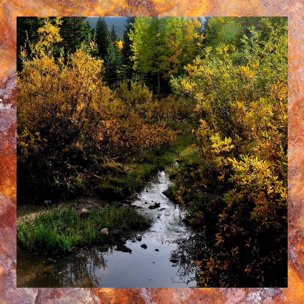 Autumn IV