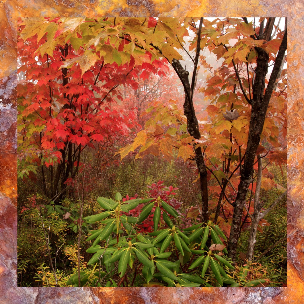 Autumn III