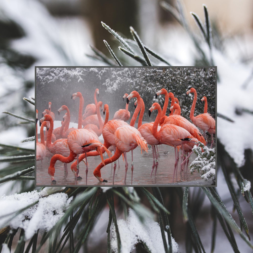 Winter Flamingos - Mini Puzzle