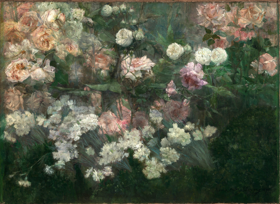 Garden in May