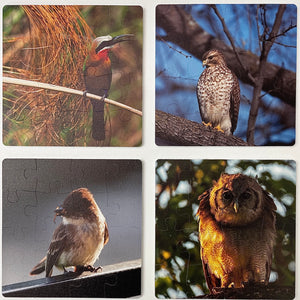 Puzzle Coasters Set: Feathered Friends