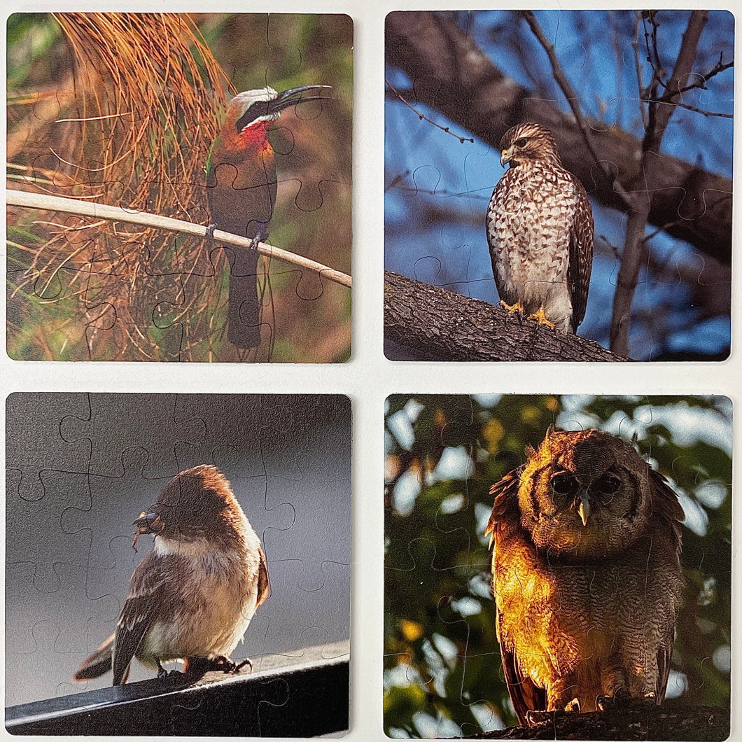 Puzzle Coasters Set: Feathered Friends